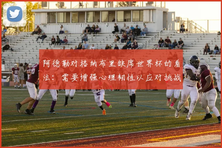 阿德勒对格纳布里缺席世界杯的看法：需要增强心理韧性以应对挑战
